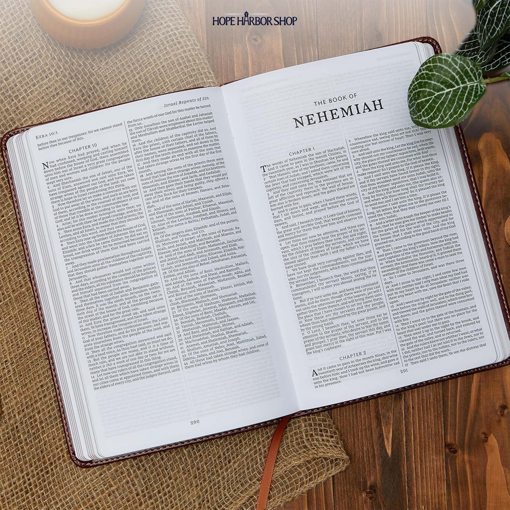 Personalized NLT Dark Brown/Tan Bible - Engraved Verse